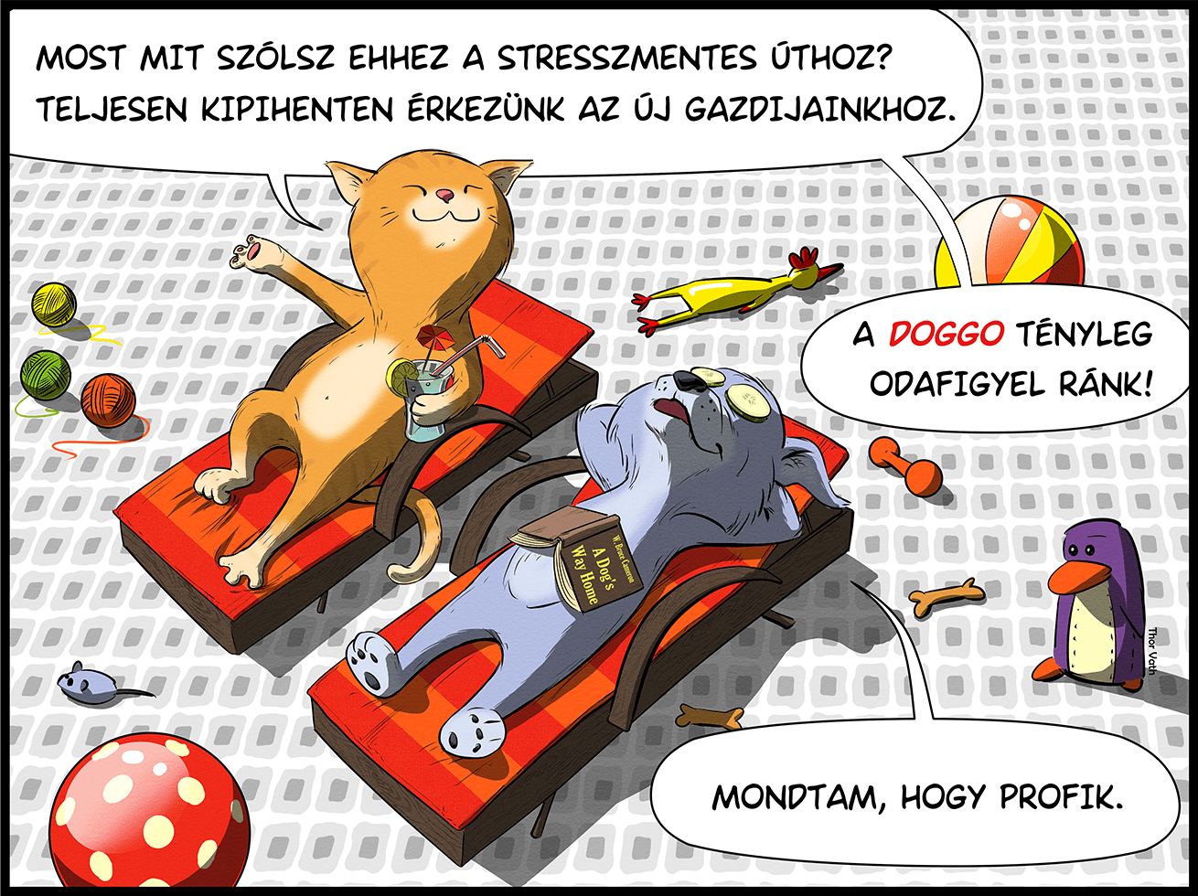 Megrendelőlap Megrendelőlap